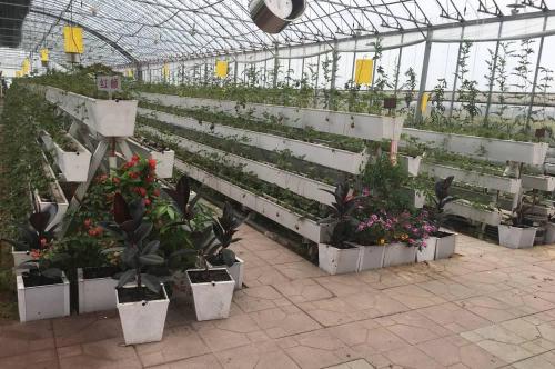 greenhouse for hydroponics